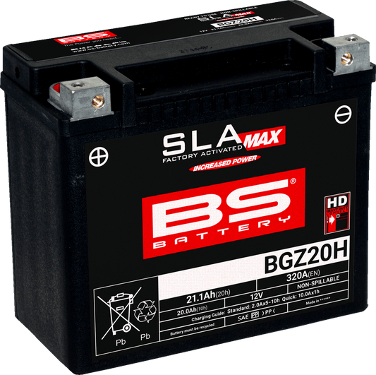 BS BATTERY BGZ20H (GYZ) 300938 Maintenance-Free Deep Cycle Marine Battery - Kelly Motorsports