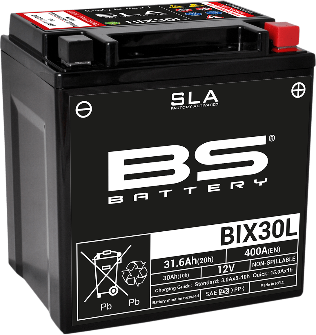 BS BATTERY BIX30L (YIX) 300631 Absorbed Glass Mat (AGM) Deep Cycle Battery - Kelly Motorsports