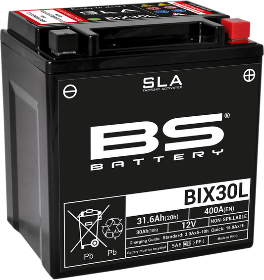 BS BATTERY BIX30L (YIX) 300631 Absorbed Glass Mat (AGM) Deep Cycle Battery - Kelly Motorsports