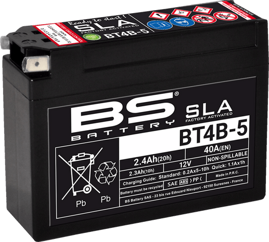 BS Battery BT4B-5 (YT) 300756 Absorbed Glass Mat (AGM) Maintenance-Free Deep Cycle Battery - Kelly Motorsports