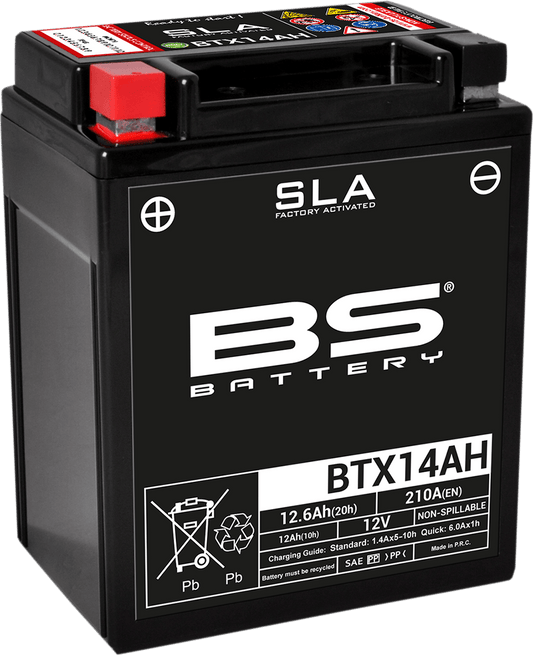 BS BATTERY BTX14AH (YTX) AGM Motorcycle Battery - Model 300758 - Kelly Motorsports