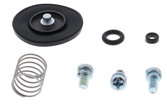 Accelerator Pump Rebuild Kit