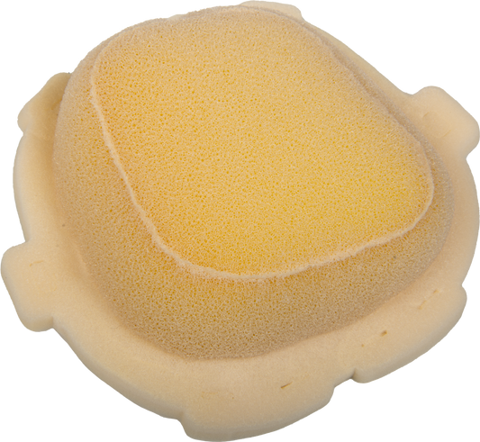 Dual Stage Foam Air Filters