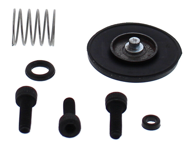 Accelerator Pump Rebuild Kit