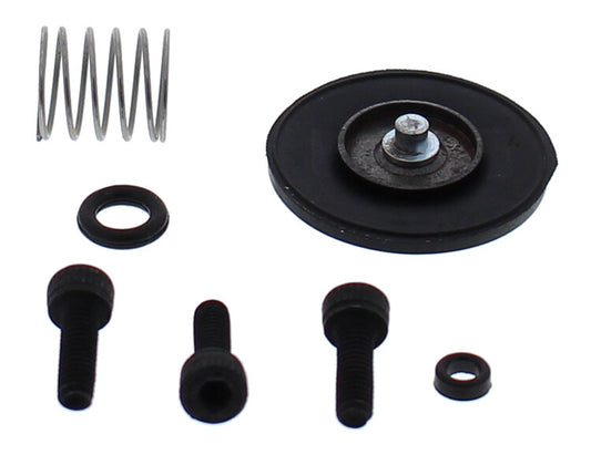 Accelerator Pump Rebuild Kit