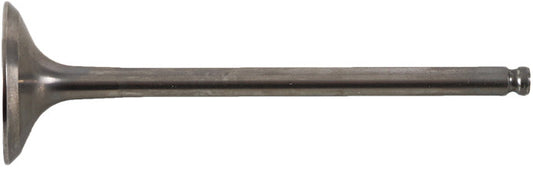 Exhaust Valve