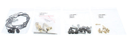Carburetor Rebuild Kit