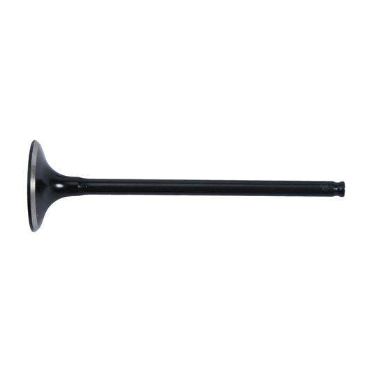 Exhaust Valve