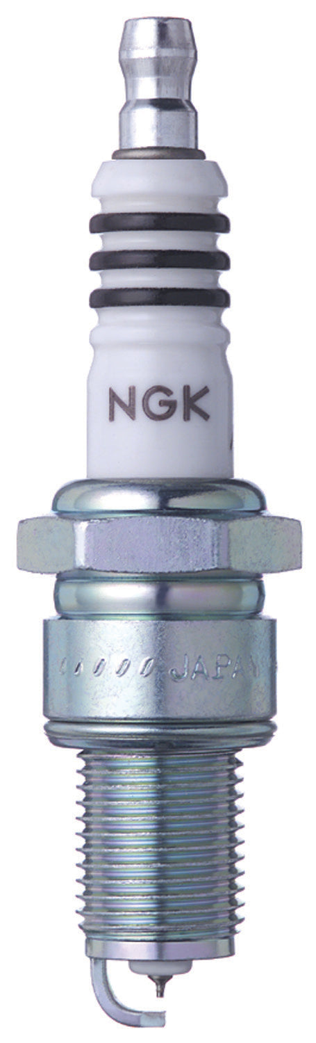 NGK Spark Plug #6597/04 for Harley Davidson and Indian Chief Models