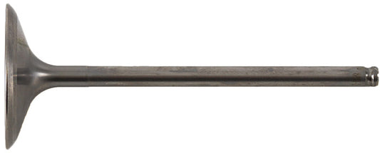 Intake Valve