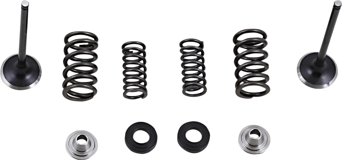 Moose Offroad Honda CRF250L Stainless Steel Valve and Spring Kit M30-33690 - Kelly Motorsports