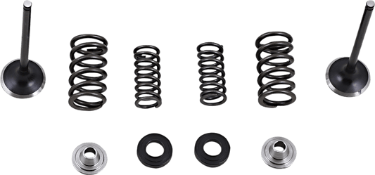 Moose Offroad Honda CRF250L Stainless Steel Valve and Spring Kit M30-33690 - Kelly Motorsports