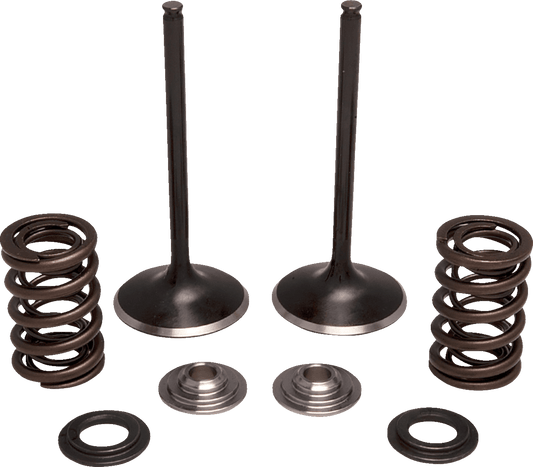 Moose Offroad M30-34360 Exhaust Valve and Spring Kit for Honda - Enhanced Performance and Durability - Kelly Motorsports