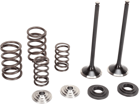 MOOSE OFFROAD Valve and Spring Kit for KTM 250SX-F, 250XC-F, and 250XCF-W - Part M96-96460 - Kelly Motorsports