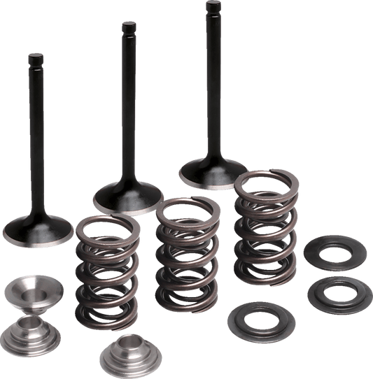 MOOSE OFFROAD Valve and Spring Kit for Yamaha M80-83050 – Intake Replacement with Enhanced Performance - Kelly Motorsports