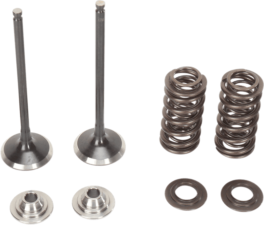 MOOSE OFFROAD Yamaha W250F / YZ250F Valve and Spring Kit M80-80860 - Kelly Motorsports