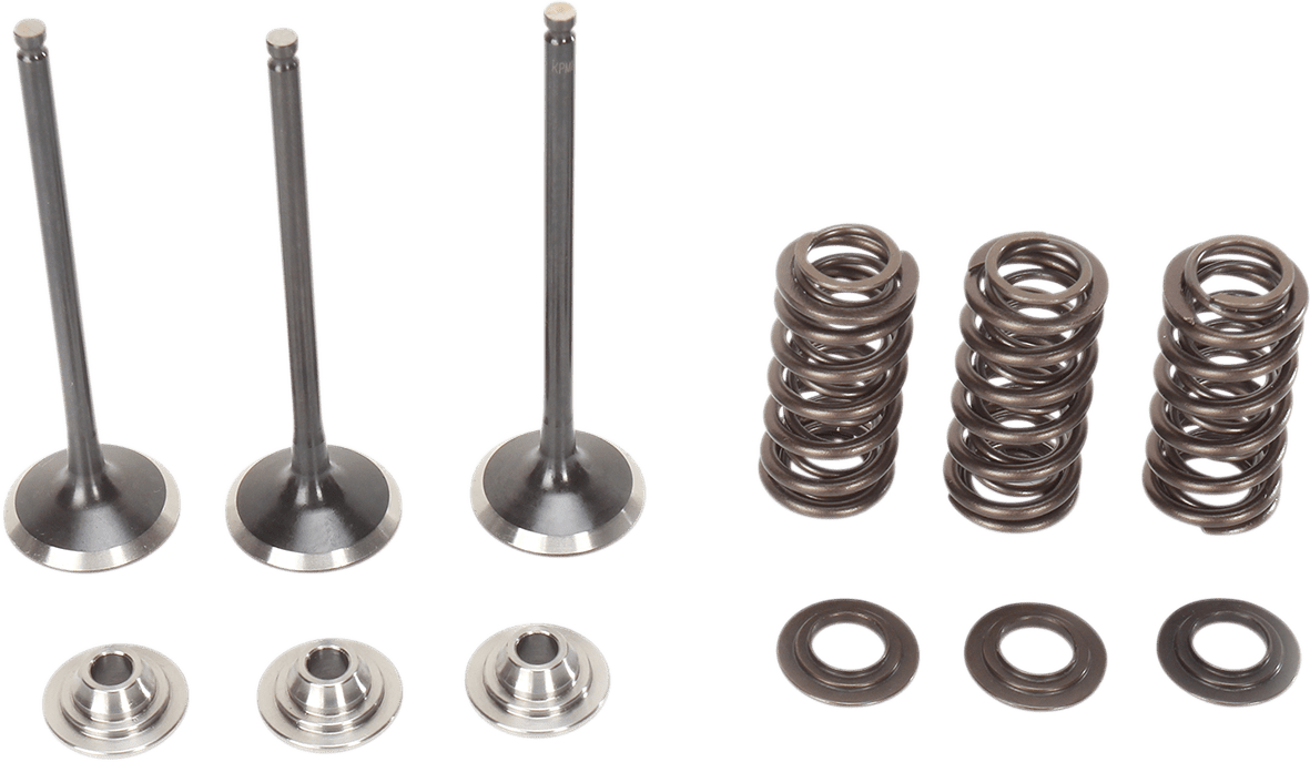MOOSE OFFROAD Yamaha WR250F Valve and Spring Kit - Part M80-80850 - Kelly Motorsports
