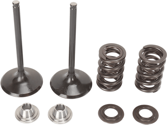 Moose Offroad Yamaha YZ450F Valve and Spring Kit M80-81060 - Kelly Motorsports