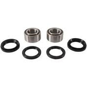 Pivot Works Front Wheel Bearing Kit for Arctic Cat 454 and 250 Models – Part PWFWK - A01 - 542 - Kelly Motorsports
