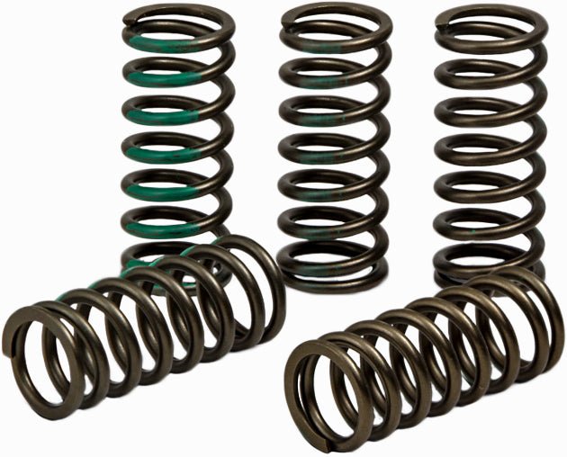 PRO CIRCUIT Clutch Spring Kaw CSK19450-CS for Kawasaki KX450F (2017-2019) - Kelly Motorsports