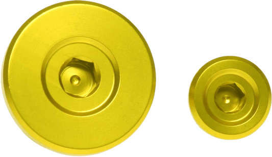 RFX Engine Timing Plug Set for Suzuki FXEP 30100 99YL - Kelly Motorsports